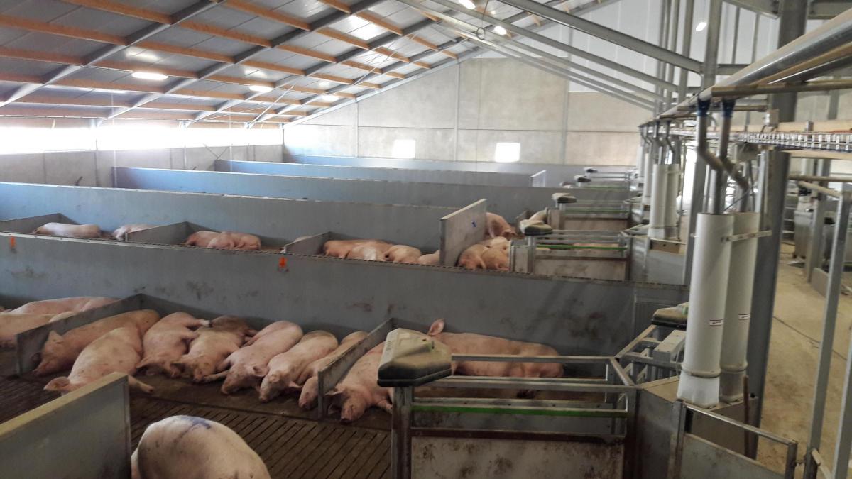 Intellitek Nijhof Haaksbergen Efftink Rensing.jpeg