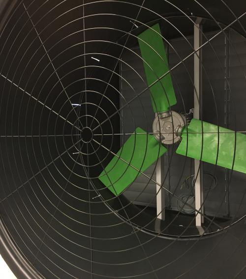 Koele stallen in warme klimaten