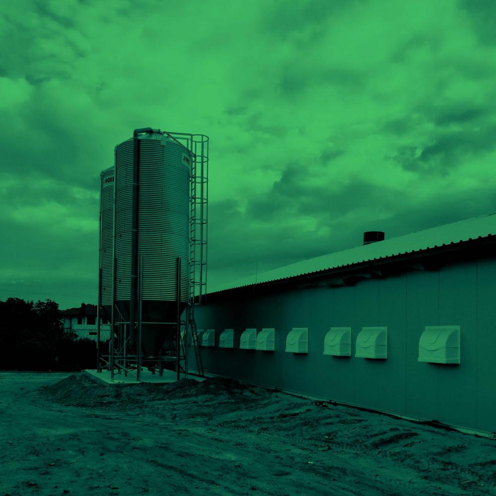 Nieuwe vleeskuikenstal in Polen