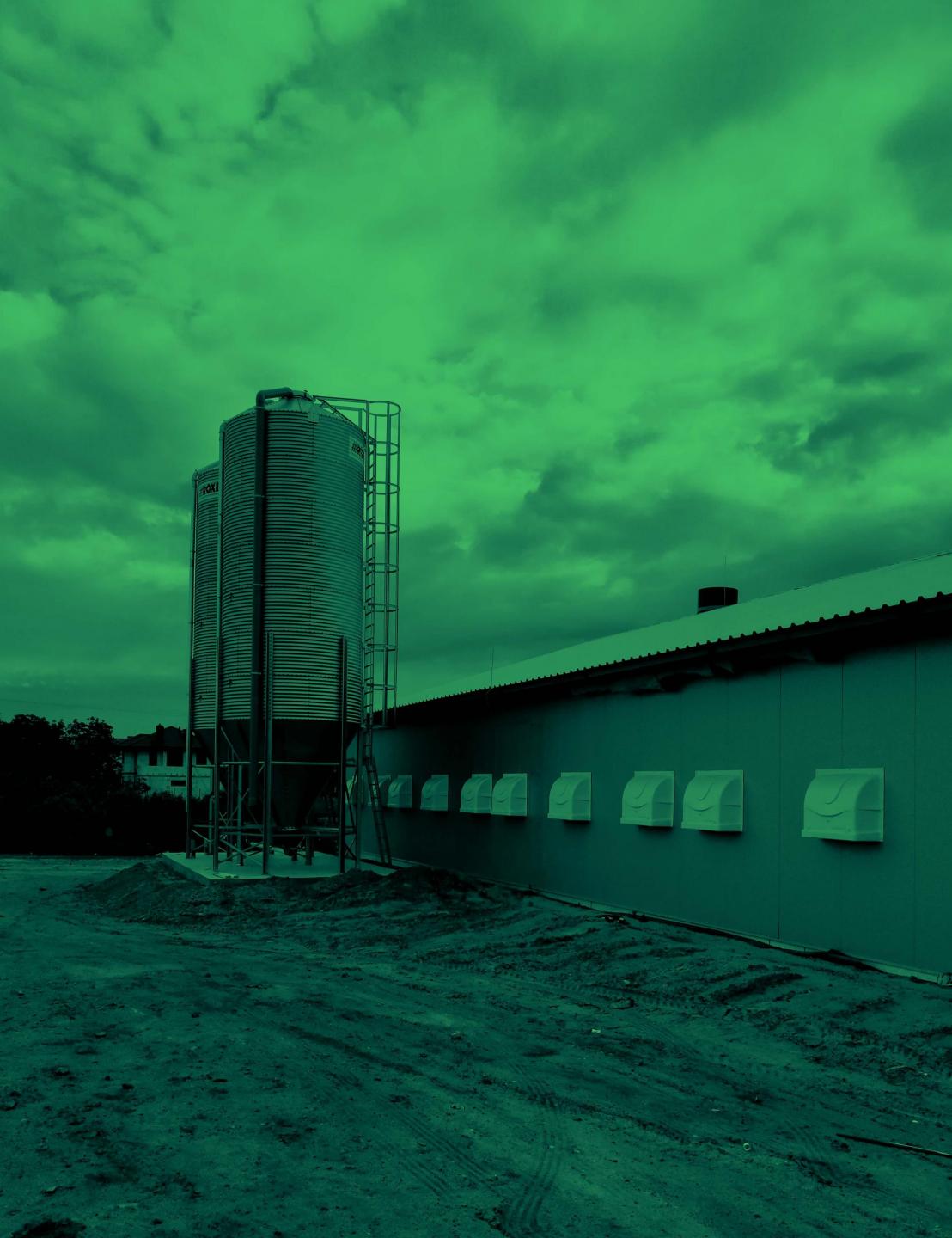 Nieuwe vleeskuikenstal in Polen