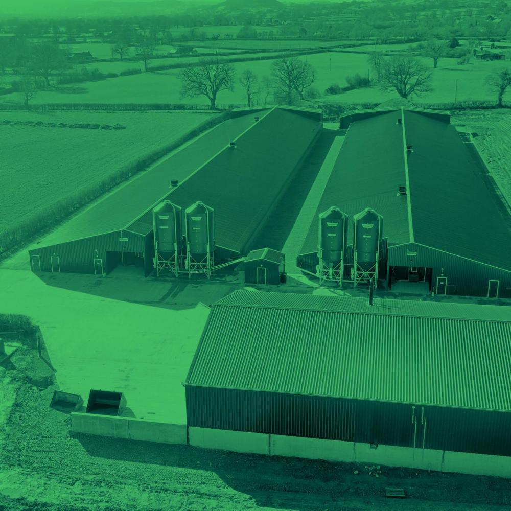 Nieuwe energiezuinige pluimveestal UK primeur voor onze distributeur JF McKenna Ltd.