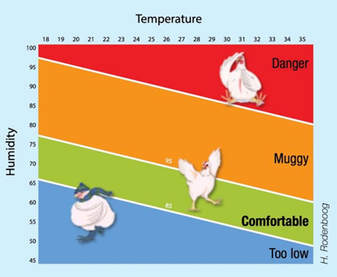 Effectieve temperatuur - Comfort tabel