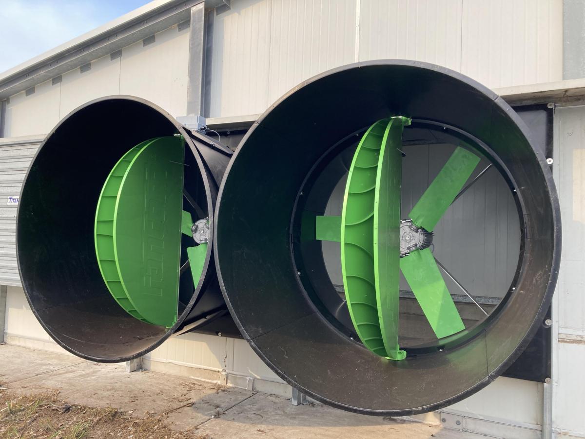 IF145 in de praktijk