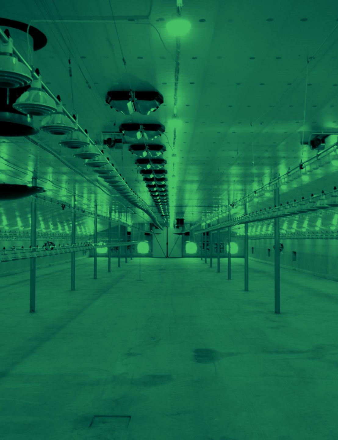 Fantura plafond inlaatsysteem voor de Cecelski pluimveestal