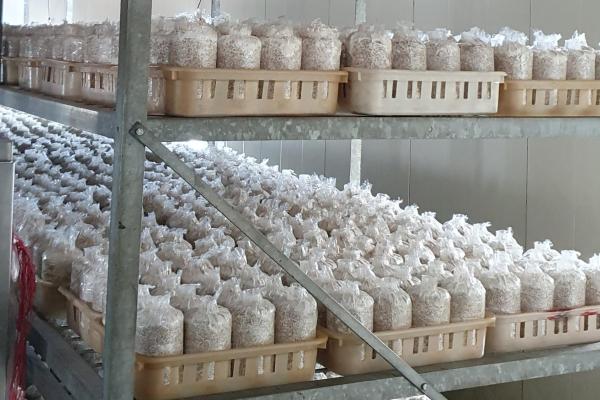 Fancom op VIV MEA met nieuwe fantura tunnelinlaat