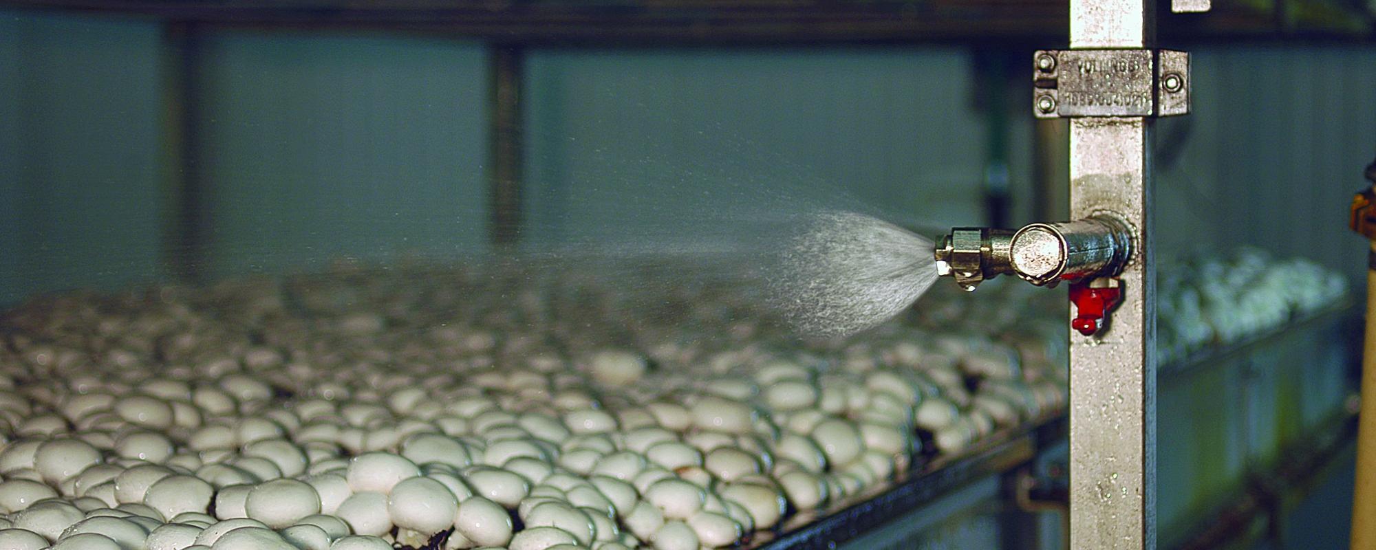 Tijdbesparende watergeefregeling met de Lumina 767