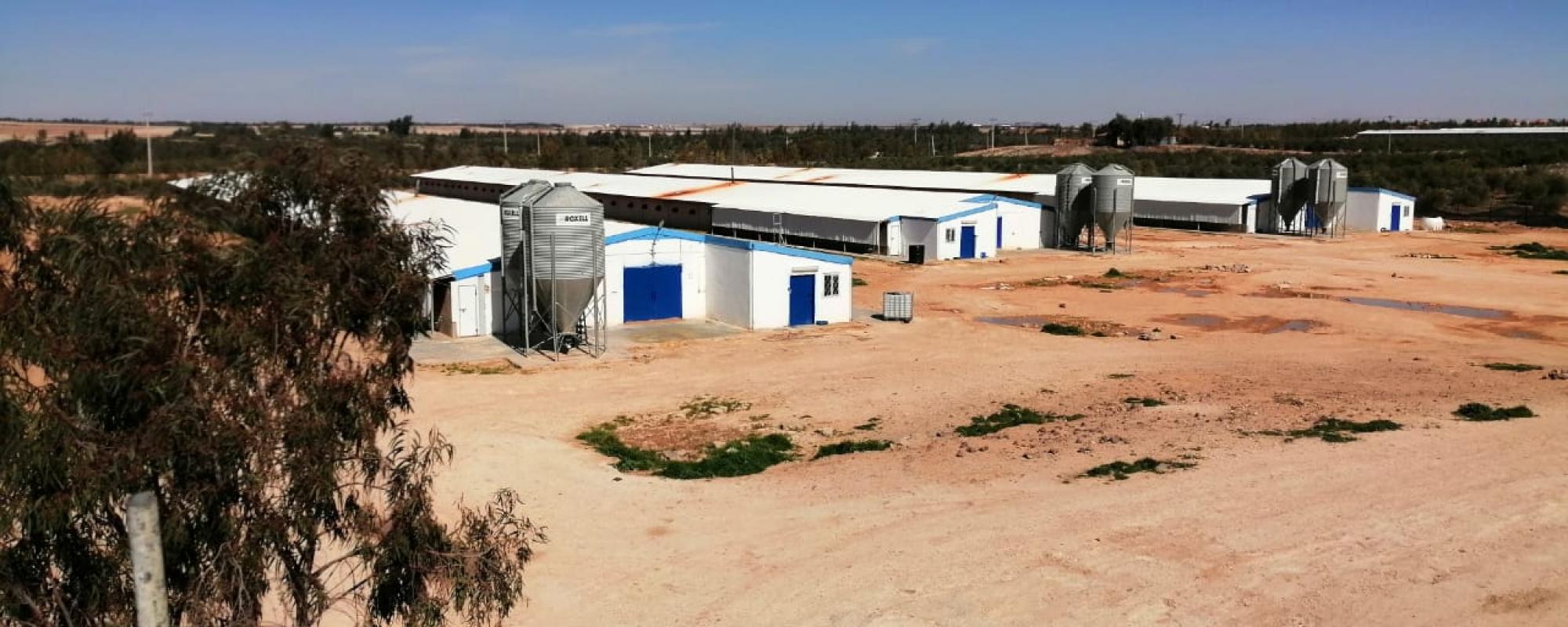 Fancom feliciteert Mohammad Aldweik met de EPEF award