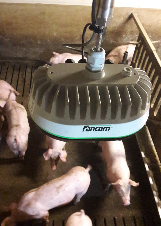 Groei onder controle