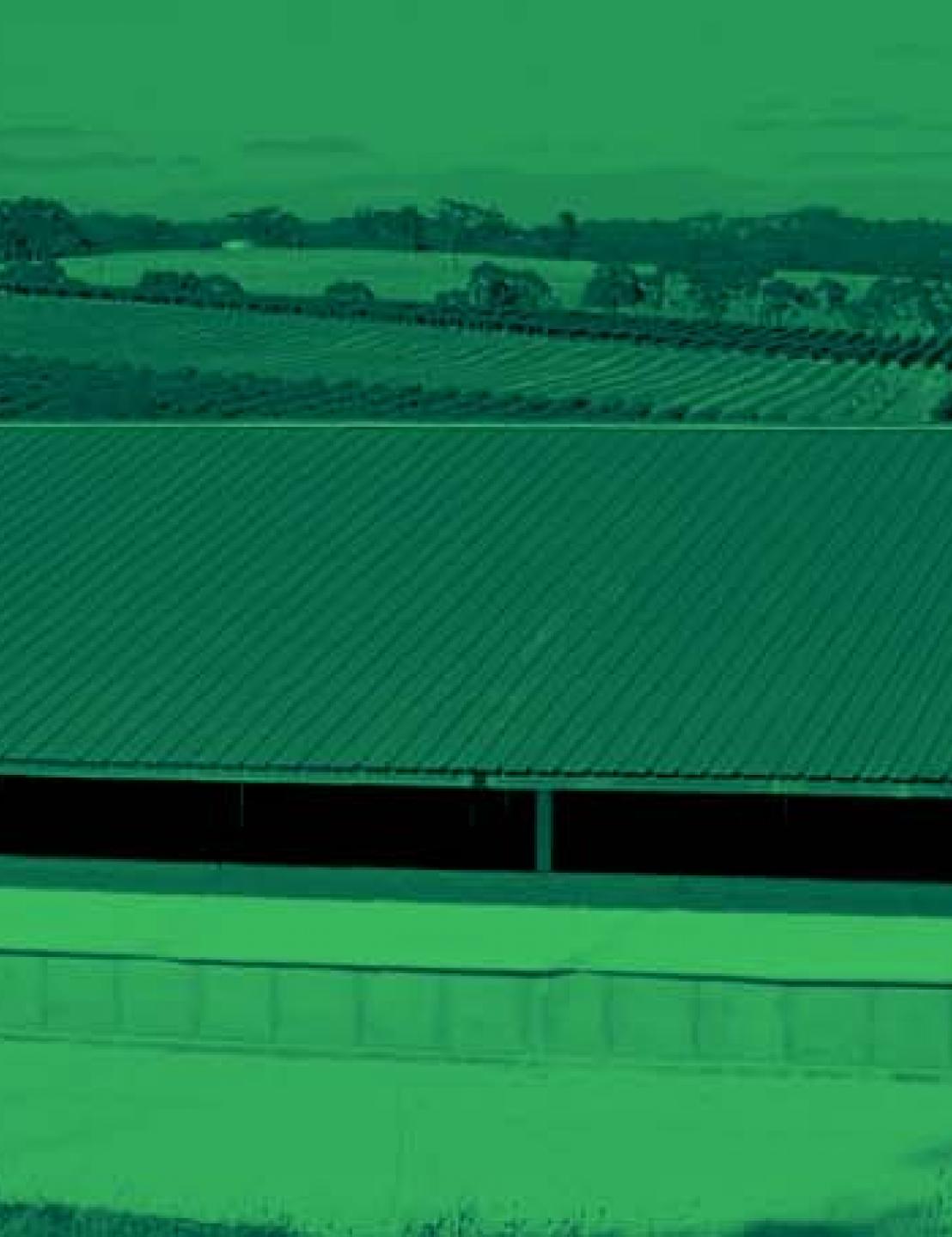 Metrowest breidt activiteiten uit in Australische varkenssector