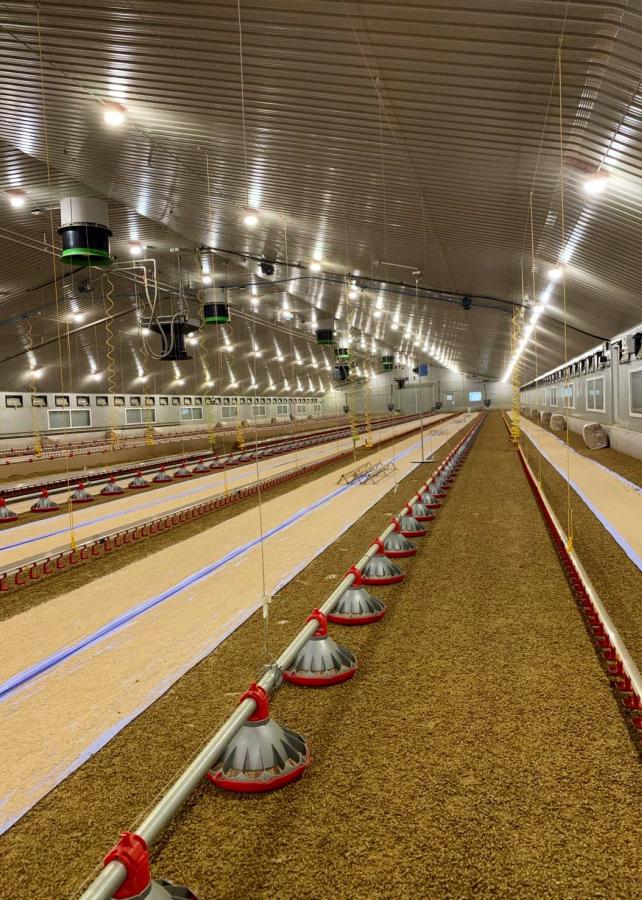 Daglicht met agrarische verlichting