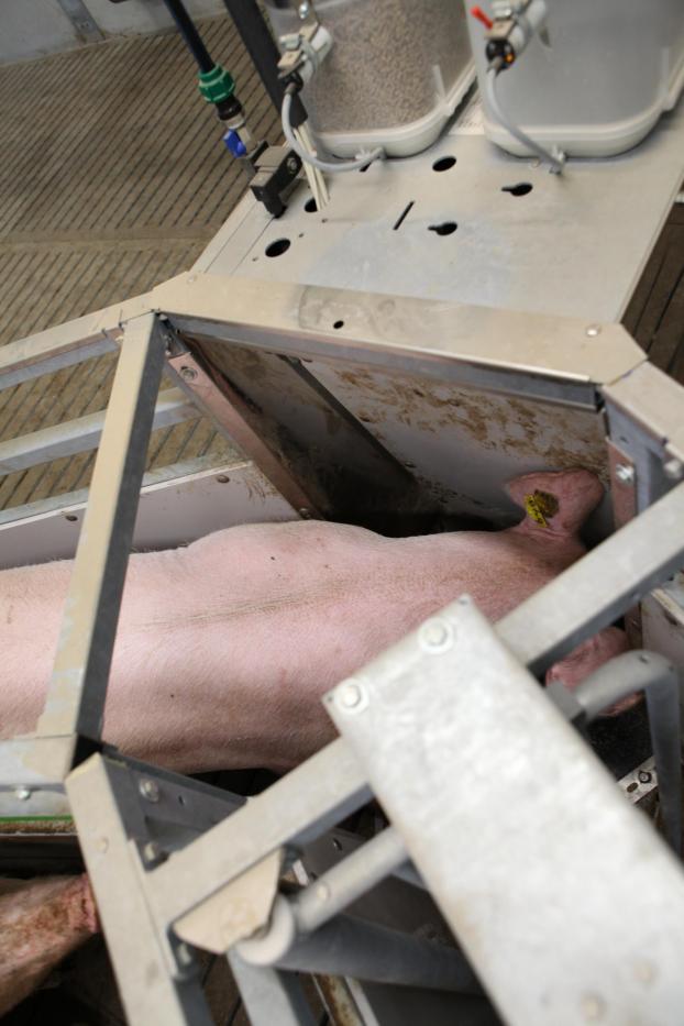 Zeug vreet in Intellitek.jpeg