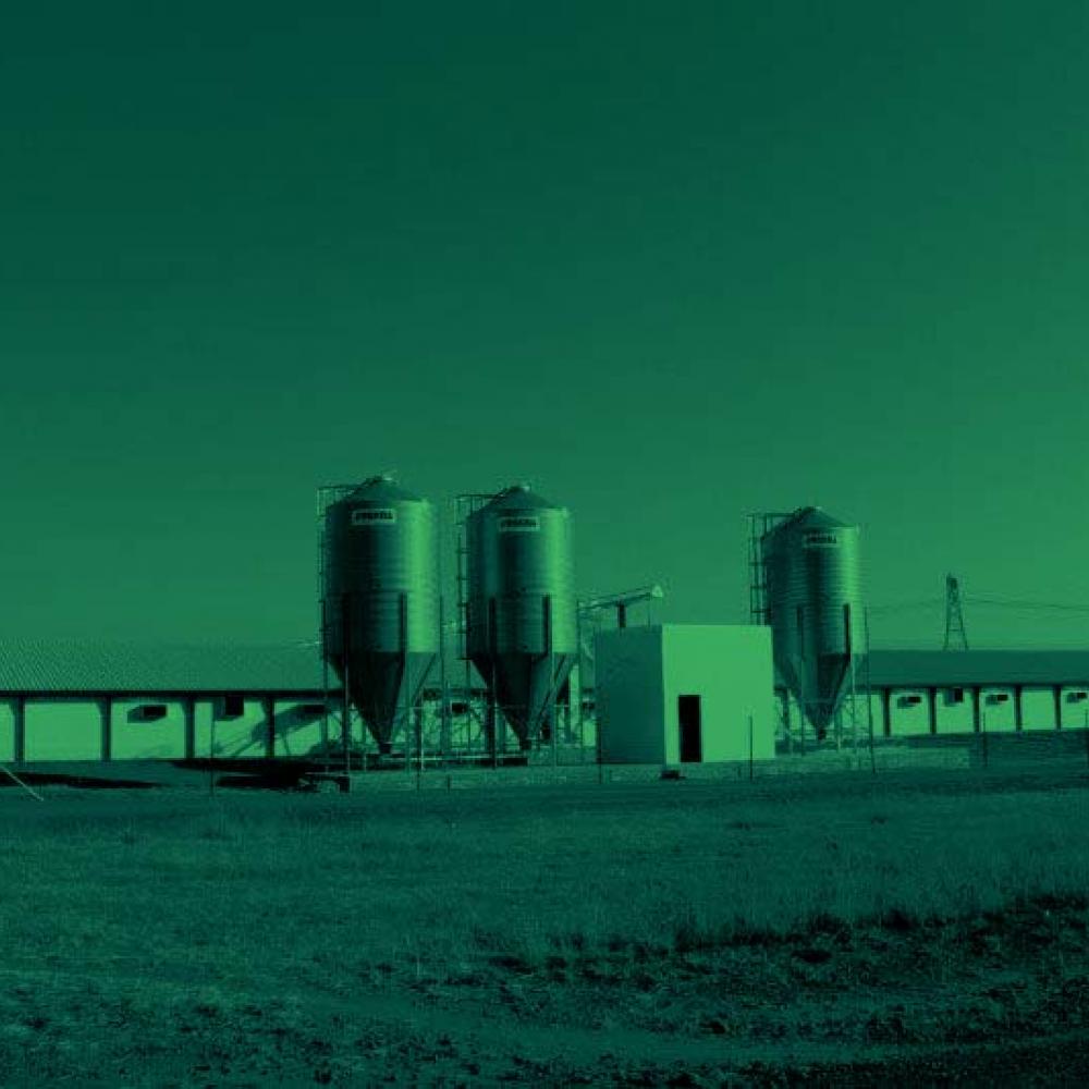 Bijzondere moederdierenstallen met MTT Stairstep