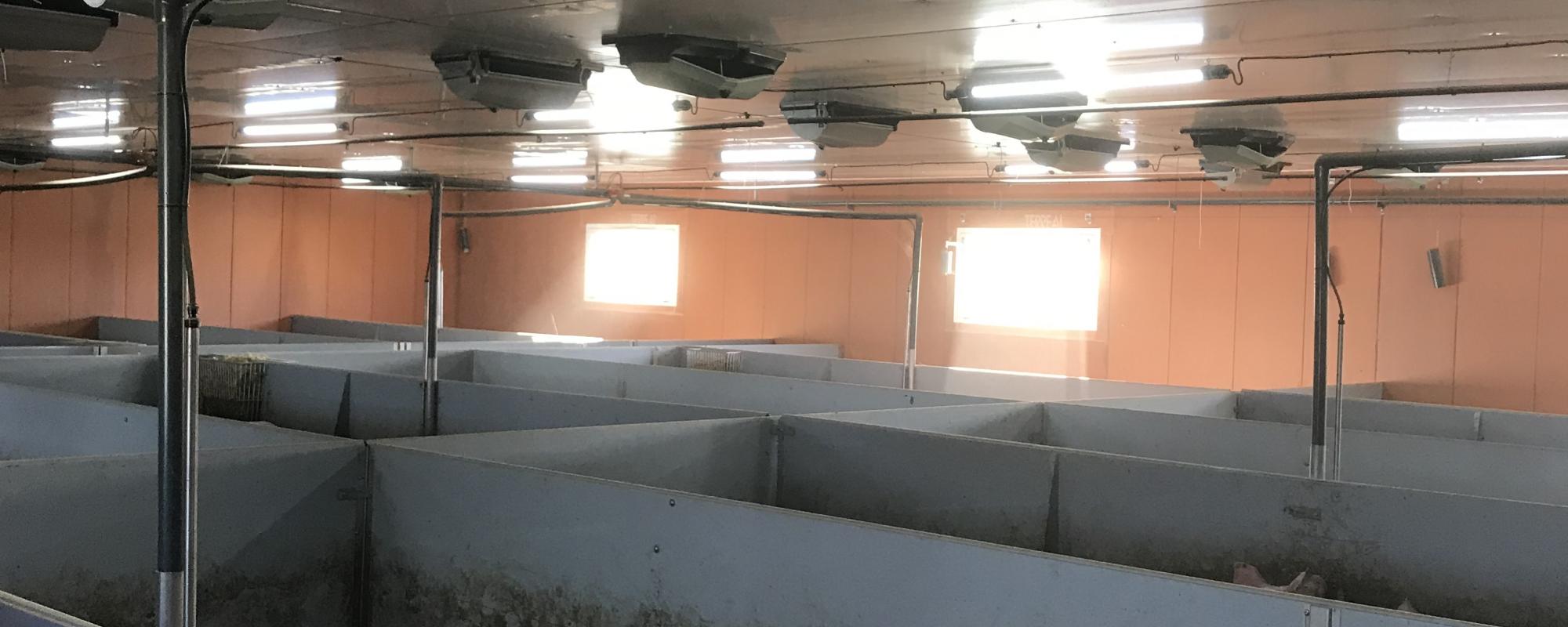 Nieuw Fantura plafondventiel voor betere dierprestaties