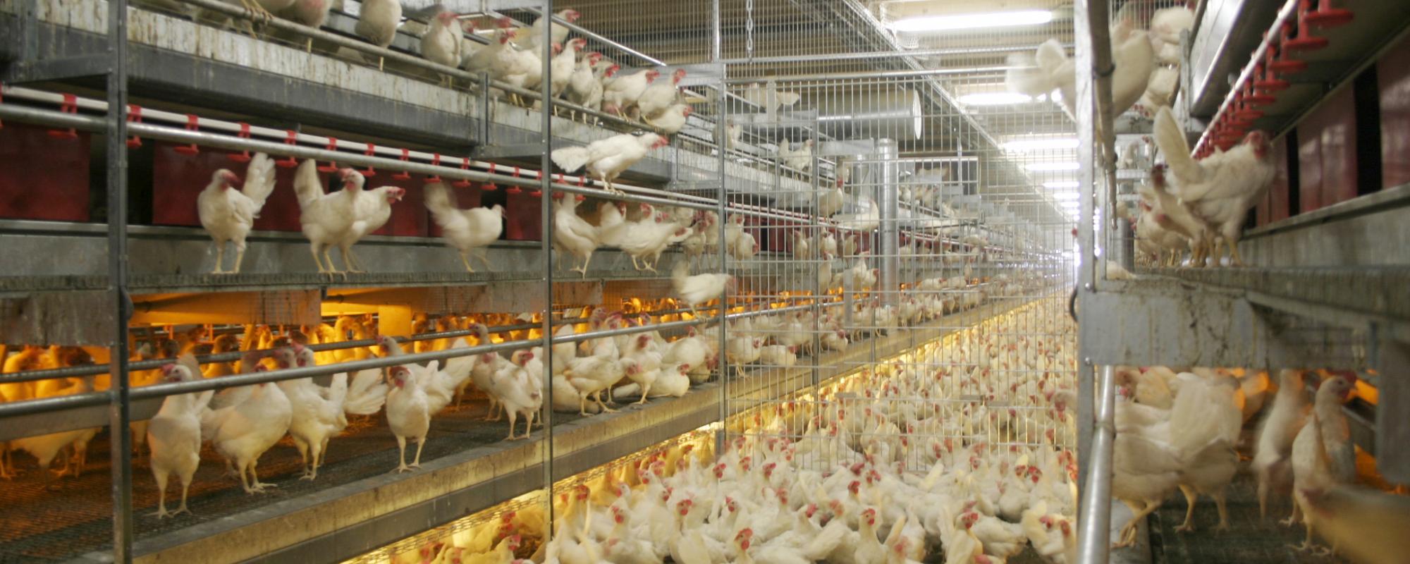 Fancom introduceert flexibele lichtregeling