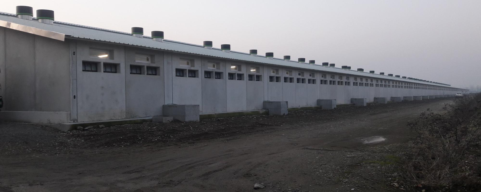 Een groeizaam klimaat voor 23.000 biggen