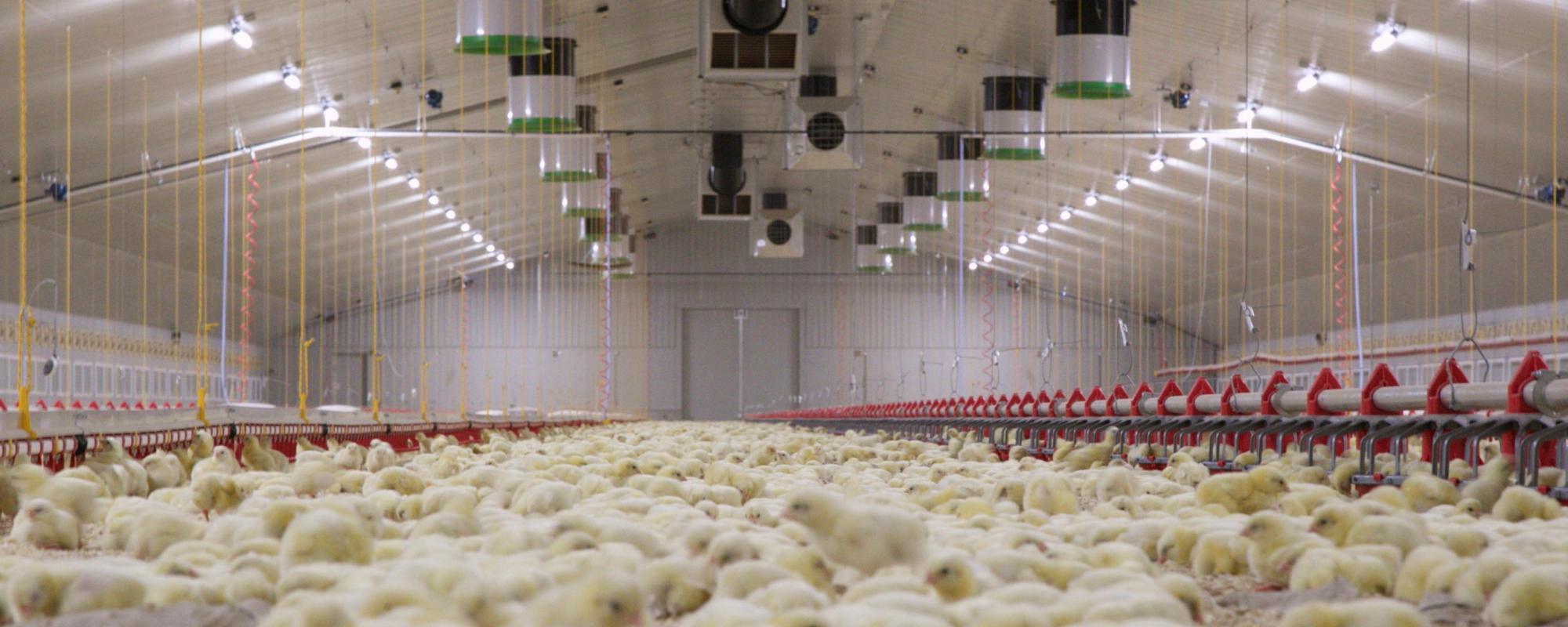 Het belang van minimum ventilatie