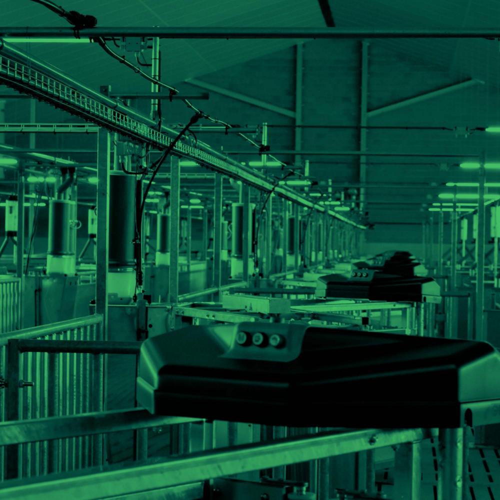 Intellitek voor nieuwe dragende zeugenstal